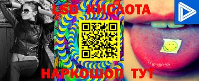 стаф Краснодар
