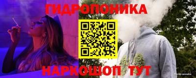 стаф Краснодар