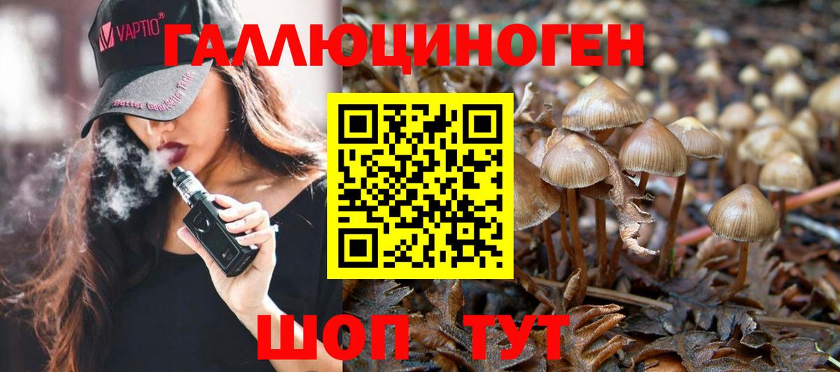 Псилоцибиновые грибы прущие грибы Аксай